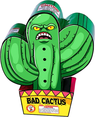 Bad Cactus